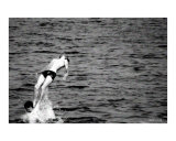 Boys Play