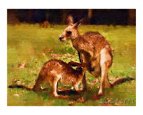 A Baby Kangaroo Drinking Milk