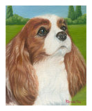 Cavalier King Charles Puppy
