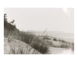 Michigan Dunes