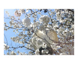 Pear Tree and Lamp