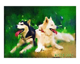 Two Dogs Resting