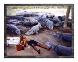 Vacation with Alligators
