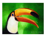 A Tropical Bird