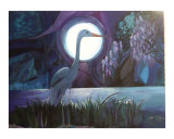Moon Shadows