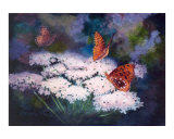 Splendor in the Meadow