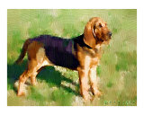The Great Hound Dog