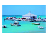 Boats in a Tropical Bay