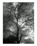 Macon in B&W - God Before His Child