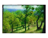 Smaller Trees in the Country