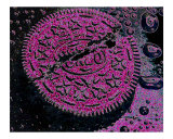Oreo in Pink