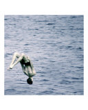 Summer's Boy