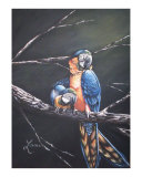 Two Macaws