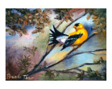 Showing Off - American Goldfinch