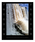 Freedom - Iguazu Falls  Argentina