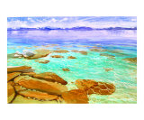 Panoramic Glory