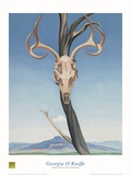 Deer's Skull with Pedernal