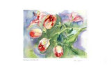 Gathered Tulips