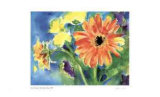 Big Orange Daisy