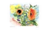 Daisies