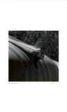 Untitled (centurion hood ornament)