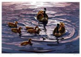 Group of Seven