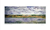 Clouds and Fields