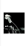Untitled (flower in the wind)