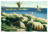 St Lawrence Archipelago