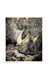 Rushing Water
