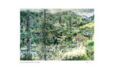 Foothills Beaver Dam