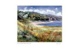 Sunlight on the Beach