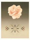 Rose Matrix VI