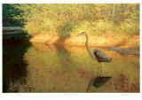 Spring Reflections