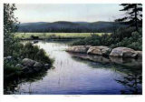 Wading in the Shallows