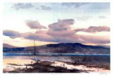 Evening - Loon lake