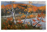 Autumn Sumac