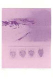 XVIII