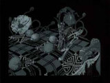 Still Life II