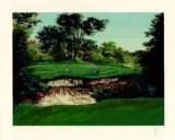 Merion  16