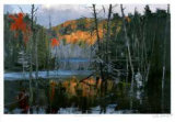 Morning at Bear Creek Pond