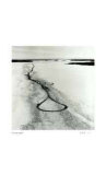 Untitled - Lasso Path