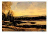 Bark Lake Sunset