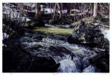 Spring Thaw
