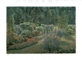 Arboretum Pathway