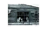 Untitled - Cats in Window