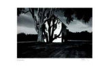 Untitled - House