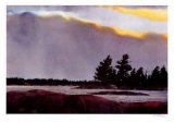Pine Island