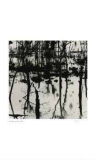 Untitled (trees reflecting)