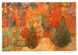 Fall Colors